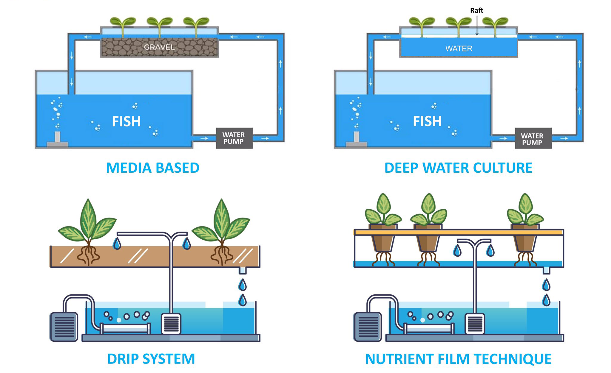 Different types of Aquaponics Systems